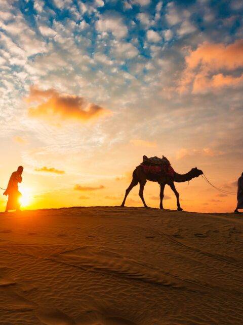 the thar desert | the thar desert facts | about the thar desert